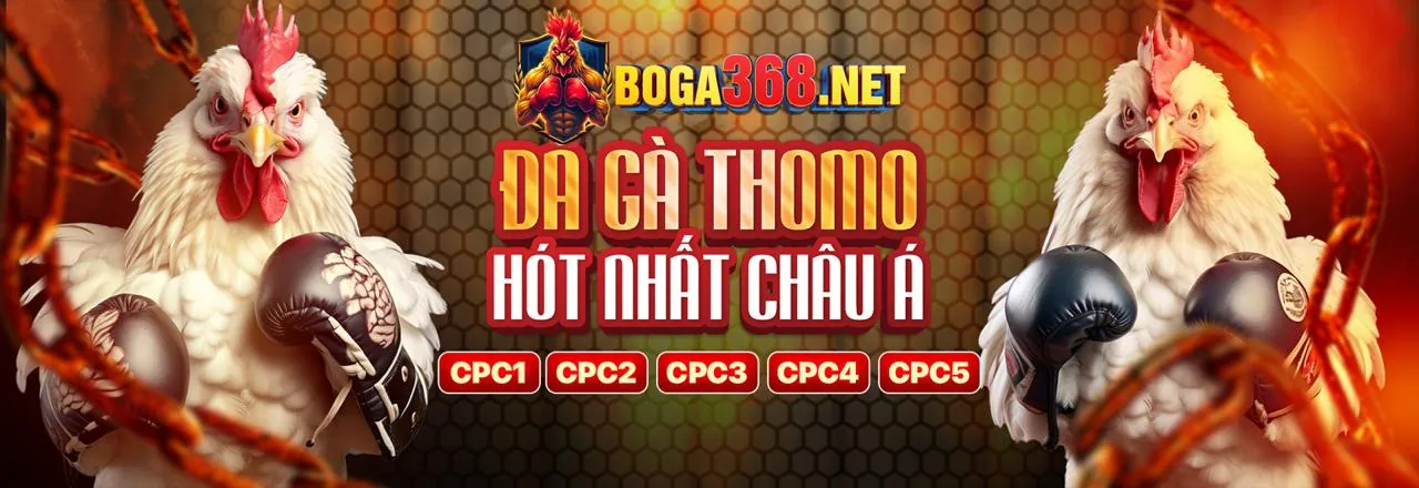Ưu đãi và khuyến mãi độc quyền tại ev88bet đăng nhập
