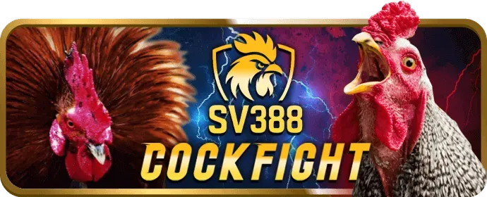 Cá cược thể thao tại ev88bet đăng nhập